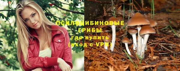 ПСИЛОЦИБИНОВЫЕ ГРИБЫ Алзамай