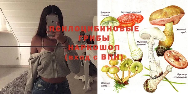apvp Алексеевка