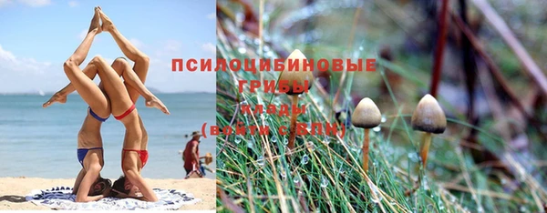 ПСИЛОЦИБИНОВЫЕ ГРИБЫ Алзамай