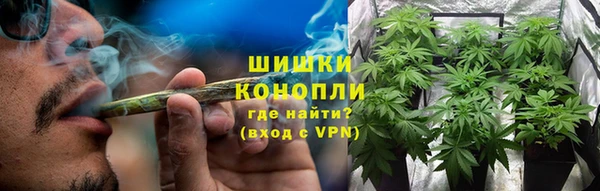 ПСИЛОЦИБИНОВЫЕ ГРИБЫ Алзамай